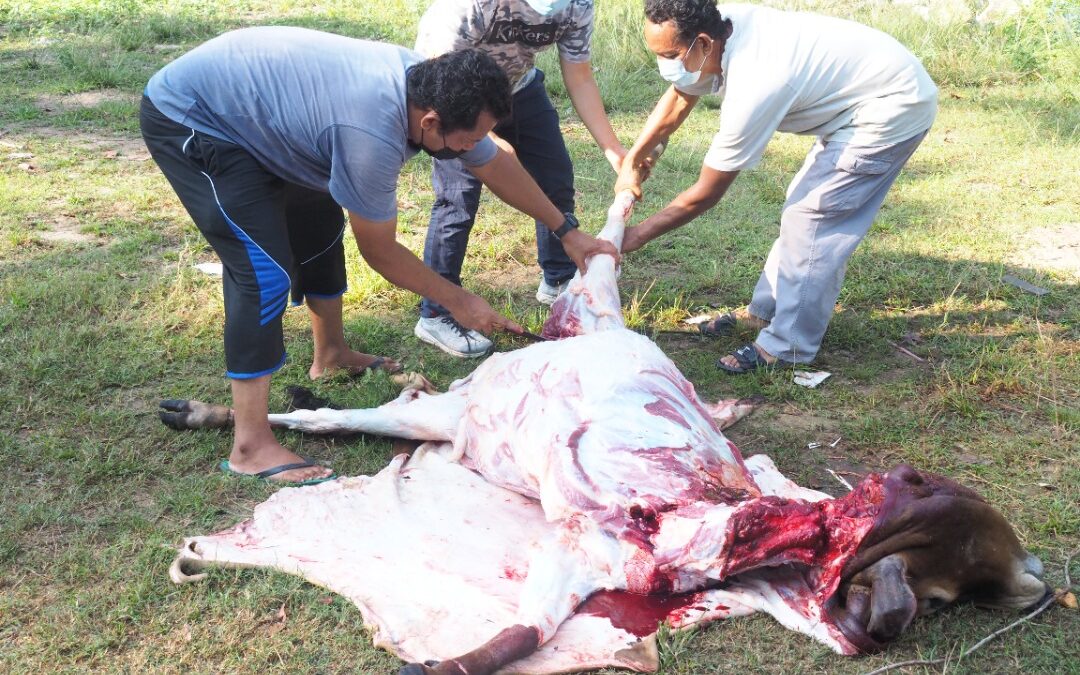 Qurban Worship 2021M/1442H