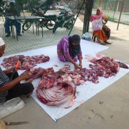Qurban YAK 2015 (1)