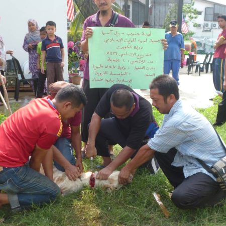 Qurban YAK 2015 (4)