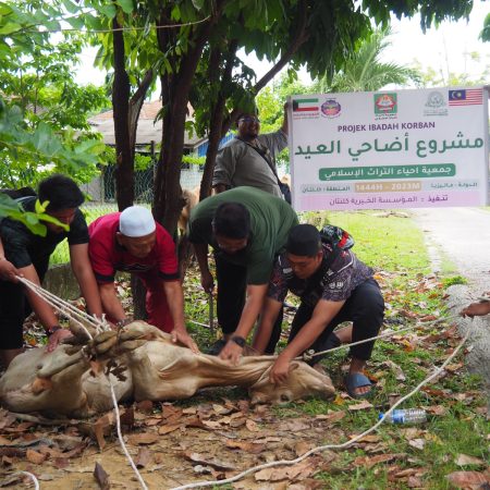 h4h4