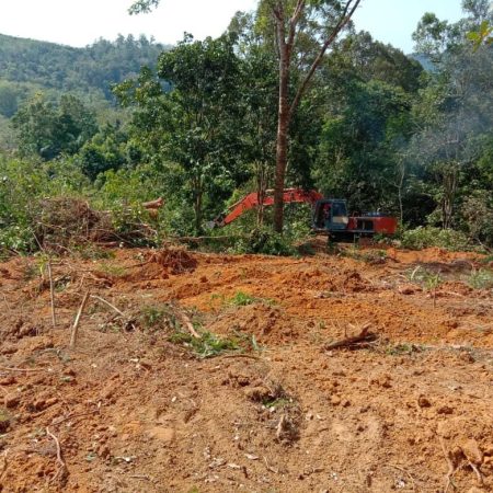 march 2020 - Durian Farm Project Progress (4)