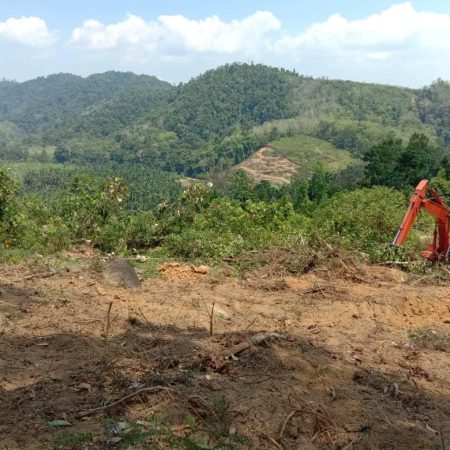 march 2020 - Durian Farm Project Progress (6)