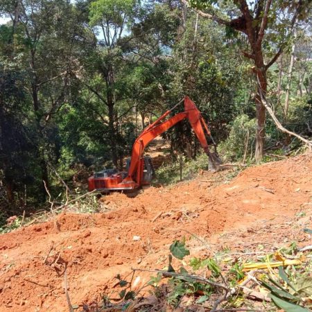 march 2020 - Durian Farm Project Progress (8)
