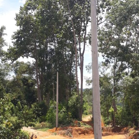 news okt 2020 - durian farm 8