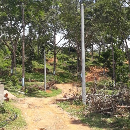 news okt 2020 - durian farm 9