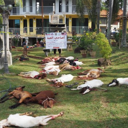 qurban 2020 2
