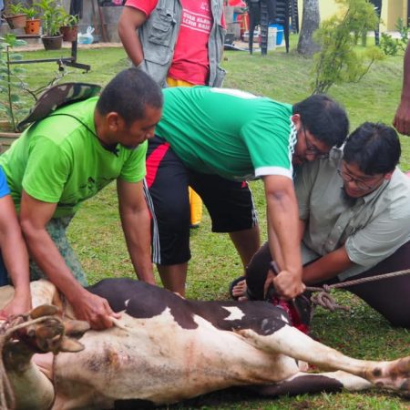 qurban 2020 5