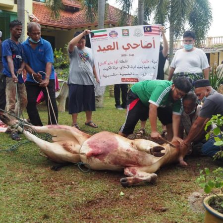 qurban 2020 6