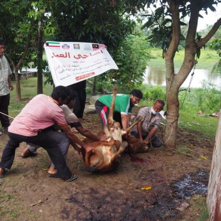 qurban 2020 7