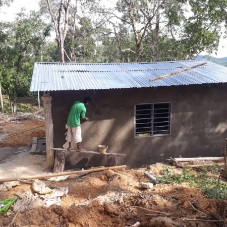 update Jun 2020_durian progress 5