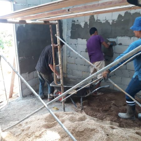update Jun 2020_durian progress 9